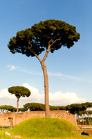 DarbiGPhotography-Rome--016