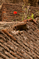 DarbiGPhotography-Rome--011