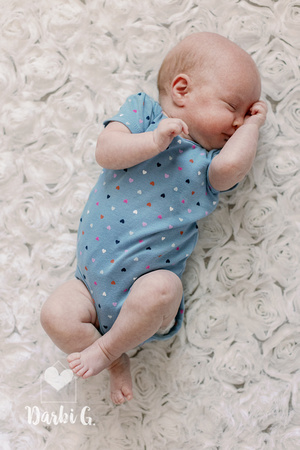 DarbiGPhotography-Charlotte-01-006