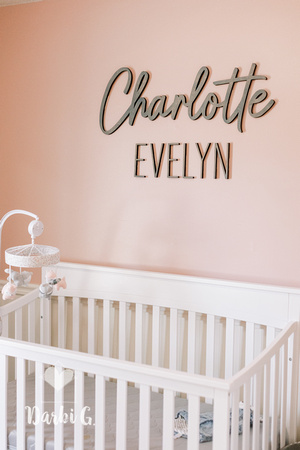 DarbiGPhotography-Charlotte-01-001