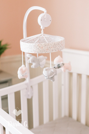 DarbiGPhotography-Charlotte-01-002