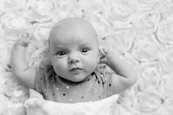 DarbiGPhotography-Charlotte-01-008